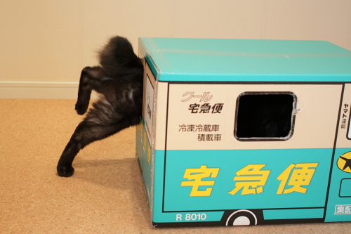 ごそごそ