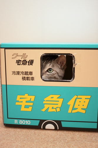 あたしにぴったりの歌?