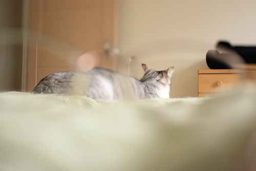 つーん