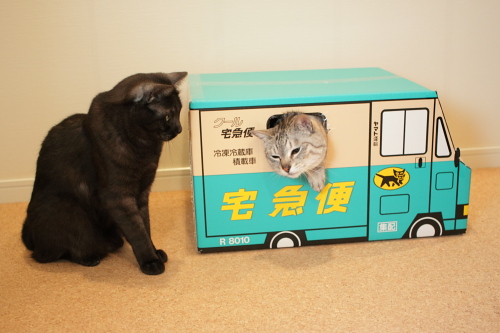 じたばた、じたばた