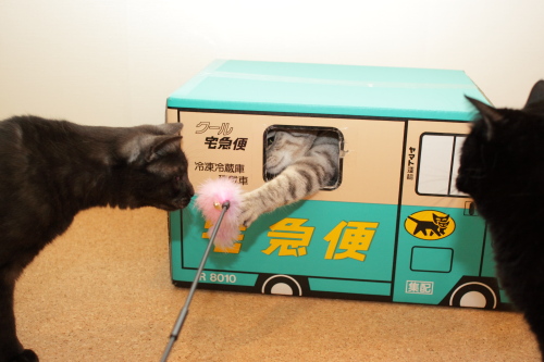 がしっ