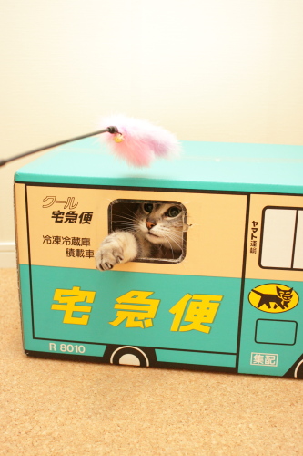 もらい!