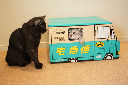 落ち着こう