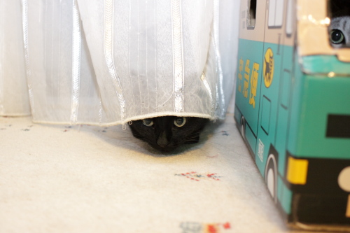 どきどきどきどき