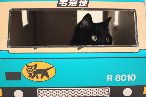 置いて行かれたの
