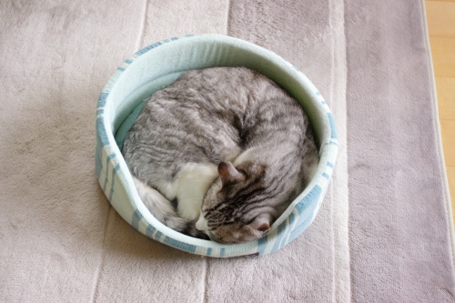 ほらね