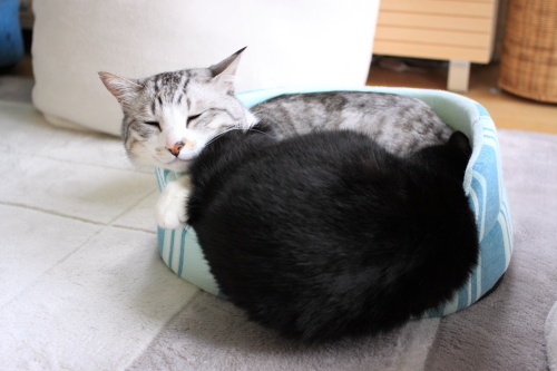 ぎゅううう~っ
