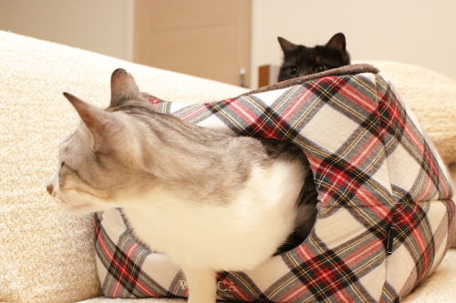 ずるずる