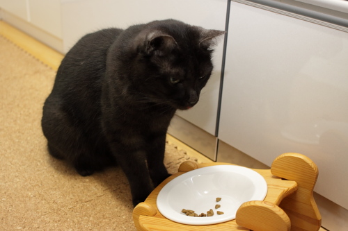 食が進まない