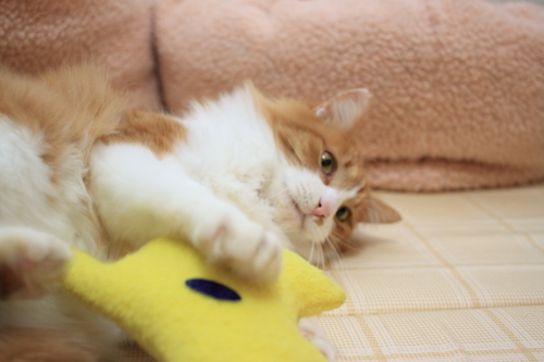 あ
