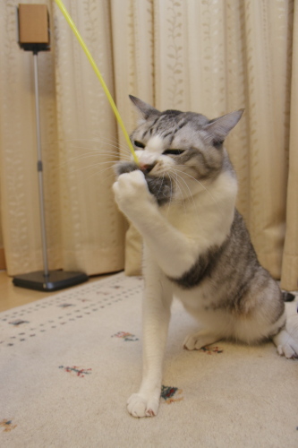 はむぅ 食らいついたお坊ちゃん