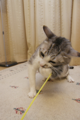 あむむぅ 口元をおさえて放さないお坊ちゃん