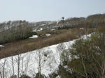 niseko02.jpg