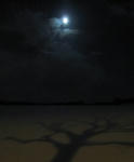 moon.JPG