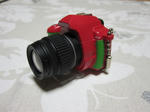 p4.JPG