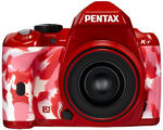 20110420-3.jpg