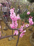 12050602.JPG