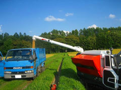 a444cfb7jpeg