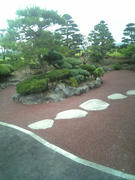 901794503_231.jpg