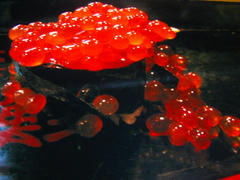 IMG_0724.jpg