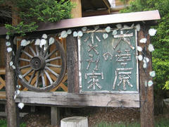 IMG_6775.jpg
