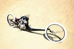 Chemical Chopper2