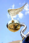 Chemical Chopper4