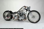 ＨＡＲＬＥＹ－ＤＡＶＩＤＳＯＮ custom