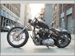 bike_sporty