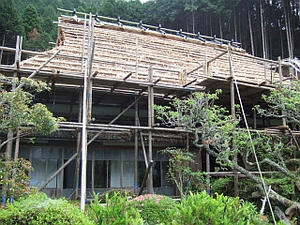 DSCF6617.jpg