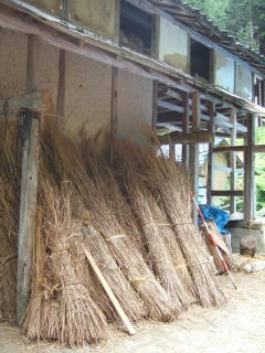DSCF6631.jpg
