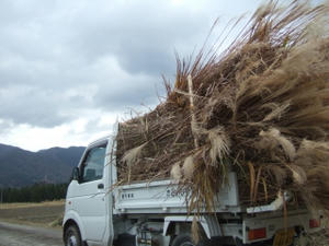 DSCF9337.jpg