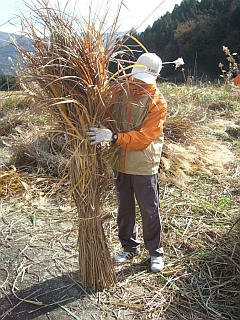 DSCF9340.jpg