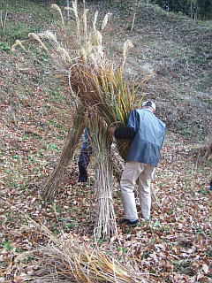 DSCF9351.jpg