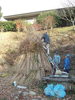 DSCF9368.jpg