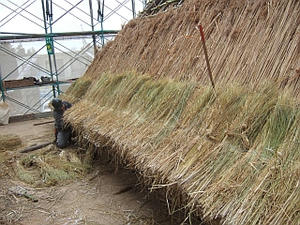 DSCF9442.jpg