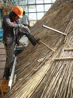 DSCF9500.jpg