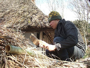 DSCF9702.jpg