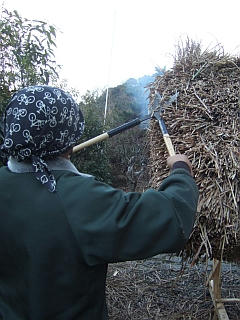 DSCF9717.jpg