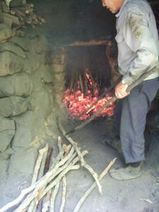DSCF1380.jpg