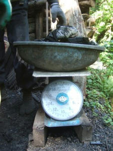 DSCF1508.jpg