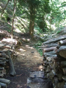 DSCF1521.jpg