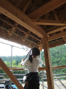 DSCF1302.jpg