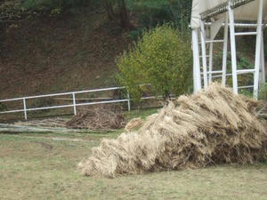 DSCF2059.jpg