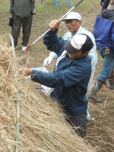 DSCF2092.jpg