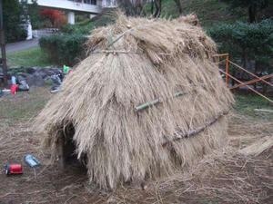 DSCF2097.jpg