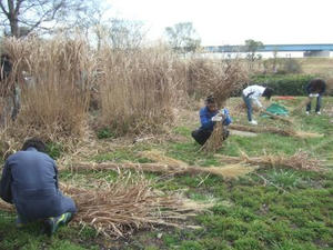 DSCF2508.jpg