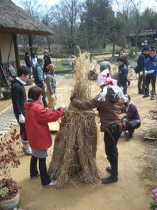 DSCF2520.jpg