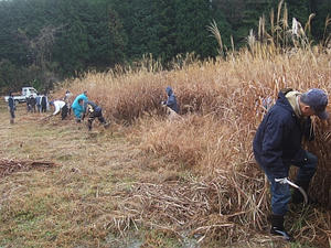 DSCF5107.jpg