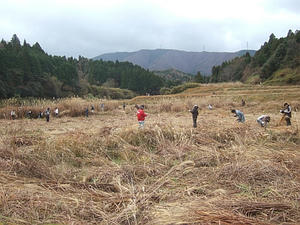 DSCF5115.jpg